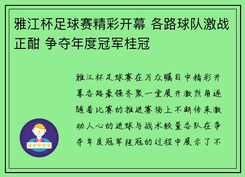 雅江杯足球赛精彩开幕 各路球队激战正酣 争夺年度冠军桂冠