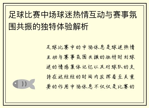 足球比赛中场球迷热情互动与赛事氛围共振的独特体验解析