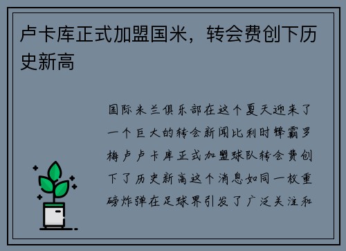 卢卡库正式加盟国米，转会费创下历史新高