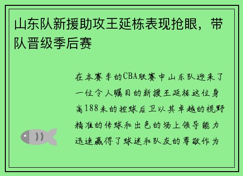 山东队新援助攻王延栋表现抢眼，带队晋级季后赛